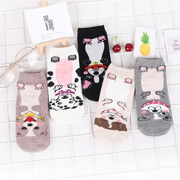 

Colorful Sock for Woman Ankle Adult Kawaii Ladies Soft Sox Cartoon Dalmatian Socks Cotton Spring Summer Female Trendy Calcetines