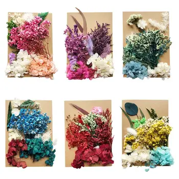 

1 Pack Crystal Epoxy Filler Dry Flower Mixed Nail Stickers Decor Resin Filler