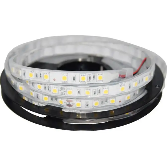 Водонепроницаемая IP68 SMD 5050 Светодиодная лента RGB Гибкая световая полоса DC12V 60