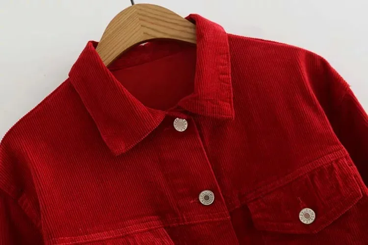 Осень стиль AliExpress Женская куртка Европа и Америка BM вельветовое универсальное короткое одноцветное пальто