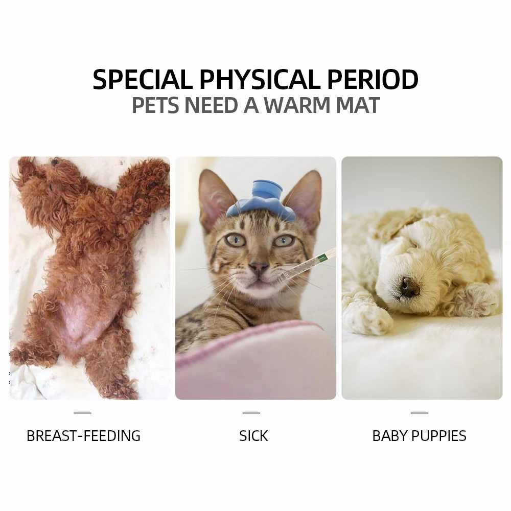 Собака кошка Зима Теплый грелку для животных Pet водонепроницаемый кровать одеяло ковер-обогреватель грелку коврик с электрическим подогревом коврик ковер
