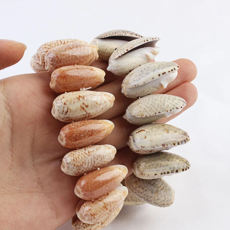 Trendy Seashell Bracelet Shells Bracelets Women Accessories Beaded Strand Bracelet