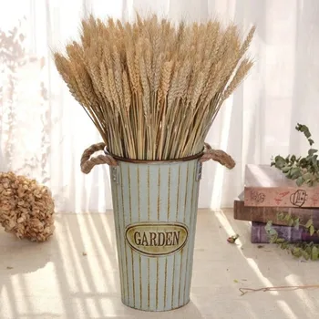 

50pcs/lot Wheat Autumn Decoration Pampas Grass Craft Flowers Dried Flowers for Wedding Decoration Wheat