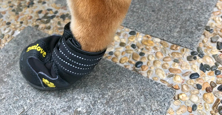 prova dwaterproof água jaqueta guarda-chuva roupas para