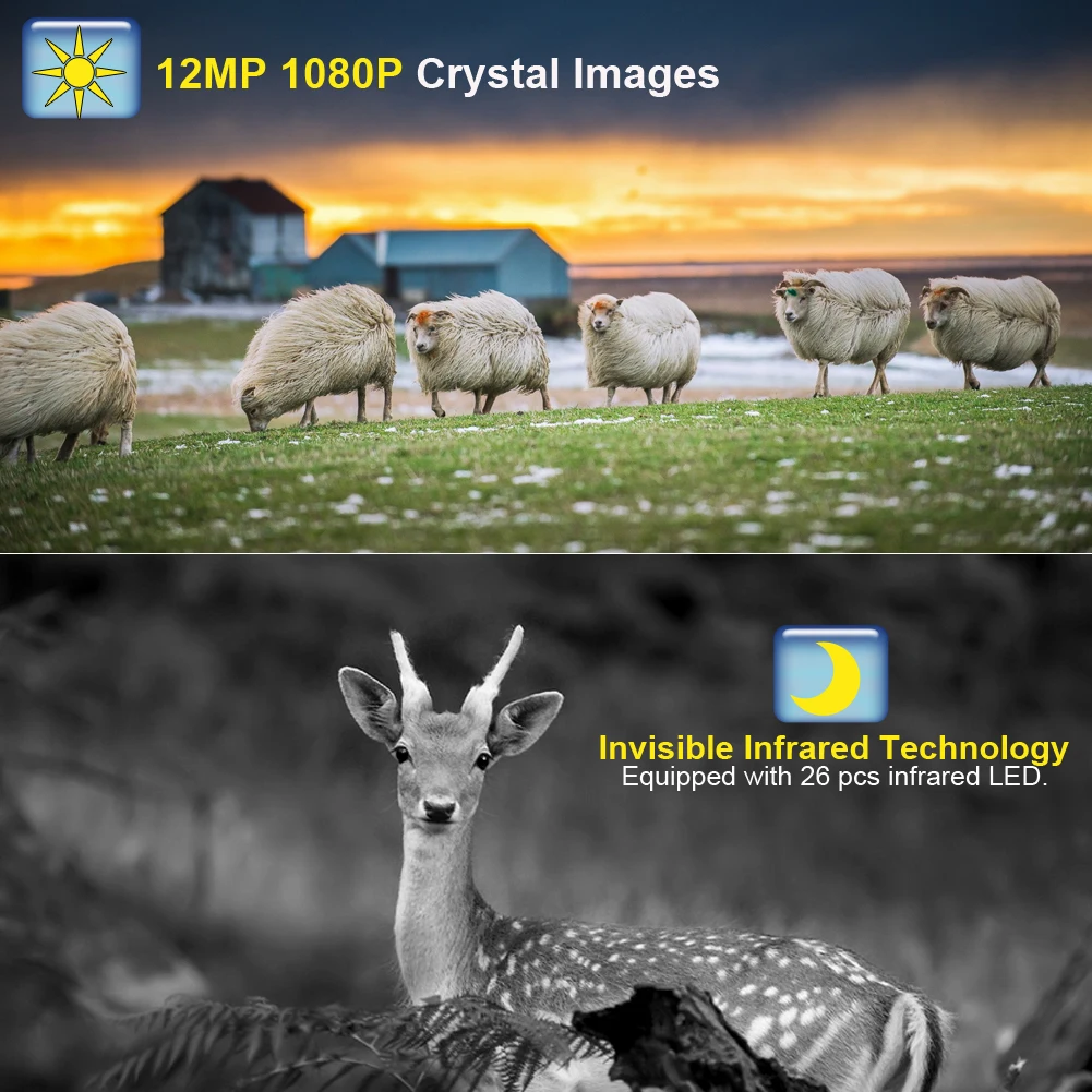 Дропшиппинг 12MP Водонепроницаемая камера для охоты на открытом воздухе 1080P инфракрасная камера ночного видения HD видео