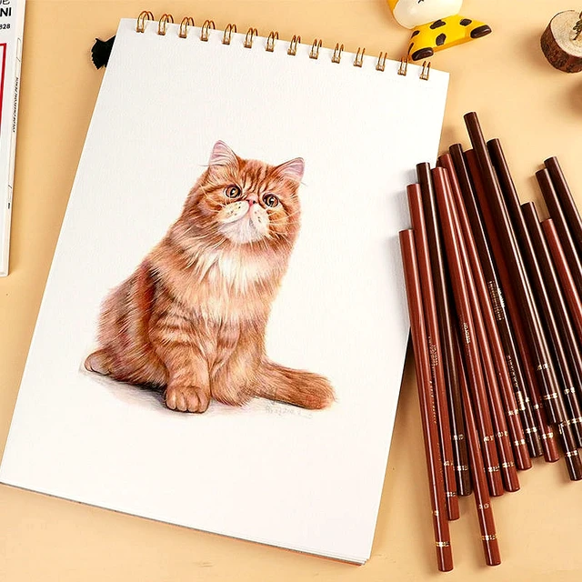 White Charcoal Pencils Drawing  White Colored Pencil Drawing - Charcoal  Pencils - Aliexpress