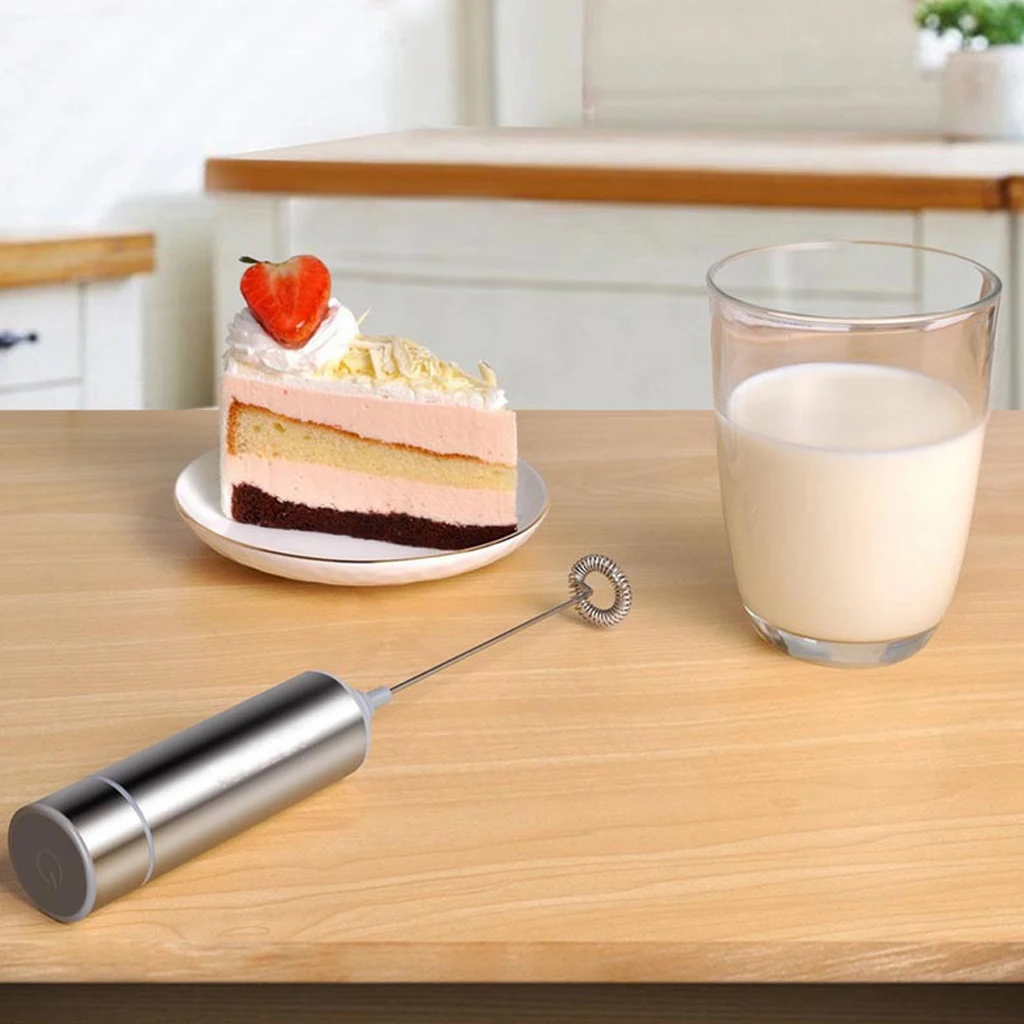 Electric Stainless Milk Frother with Single Spring Whisk Head & Storage Tube