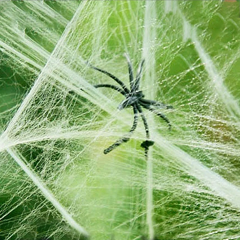 4279268043_2098354695