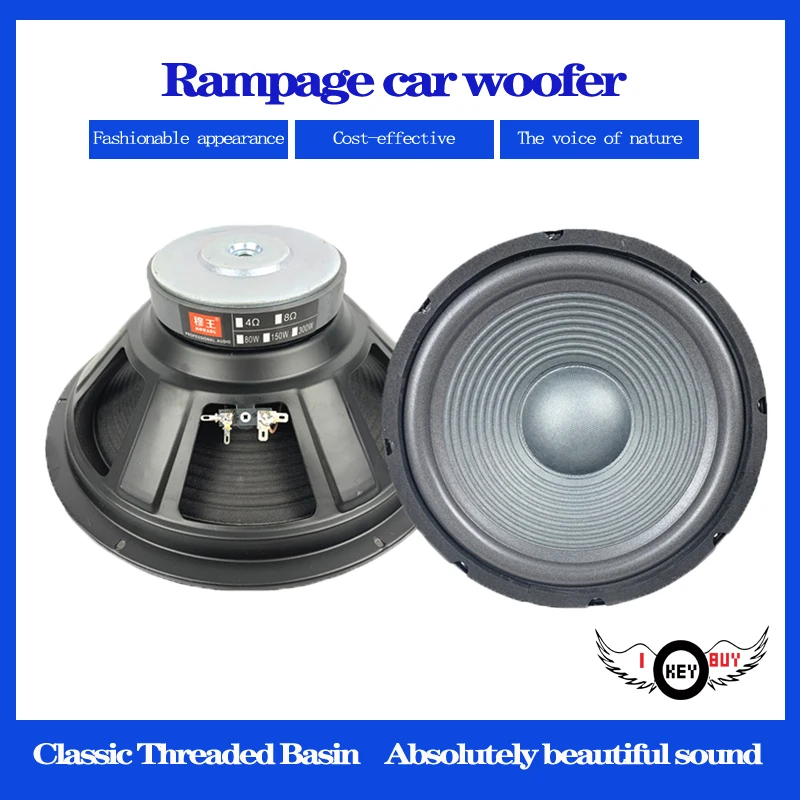 10 Inch 8Ohm Bass Speaker 255MM 