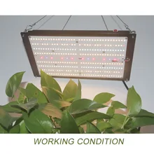 

VP120S LED Grow Light Sunlike Full Spectrum Indoor Hydroponic Plants