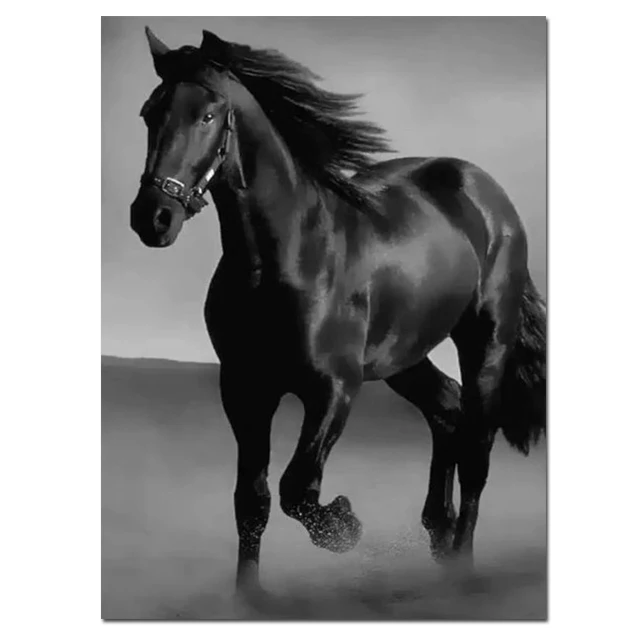 Modern-Black-Horse-Art-Animal-