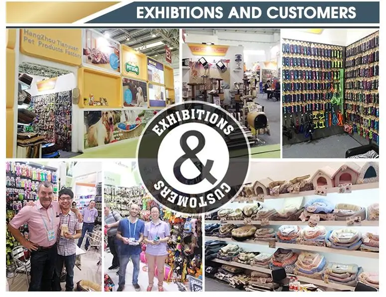 QQ图片20191019145605