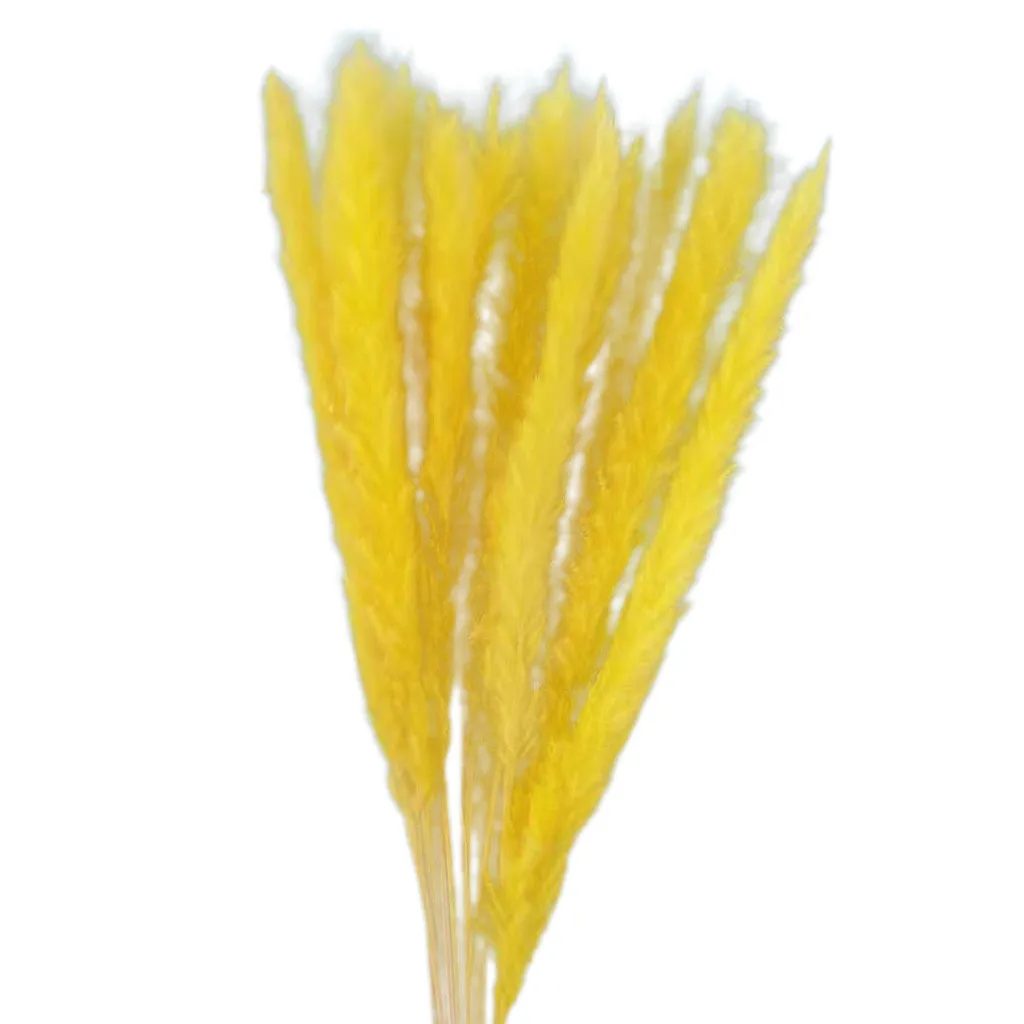 Yellow 15 шт., Натуральные Сушеные маленькие пампасы, Phragmites, Искусственные Свадебные цветы, букет для домашнего декора, искусственные цветы# LR1 - Цвет: Yellow
