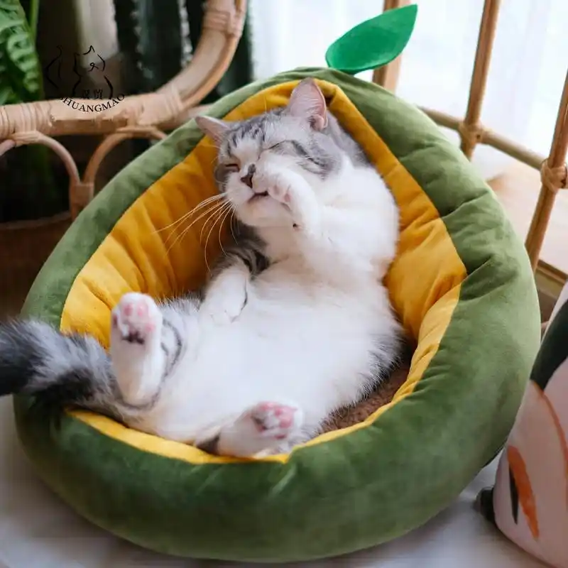 ペットの猫の家マット暖かいベッドかわいい小猫ベッドの巣犬アボカド形状寝袋快適な小屋ソファ Houses Kennels Pens Aliexpress ペットの猫の家マット暖かいベッドかわいい小猫ベッドの巣犬アボカド形状寝袋快適な小屋ソファ Houses Kennels Pens Aliexpress