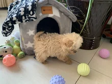 Bed-Mat Basket Kennel Sofa Dog-House Cat-Nest Puppy Cave Foldable Small Chihuahua Pet-Products