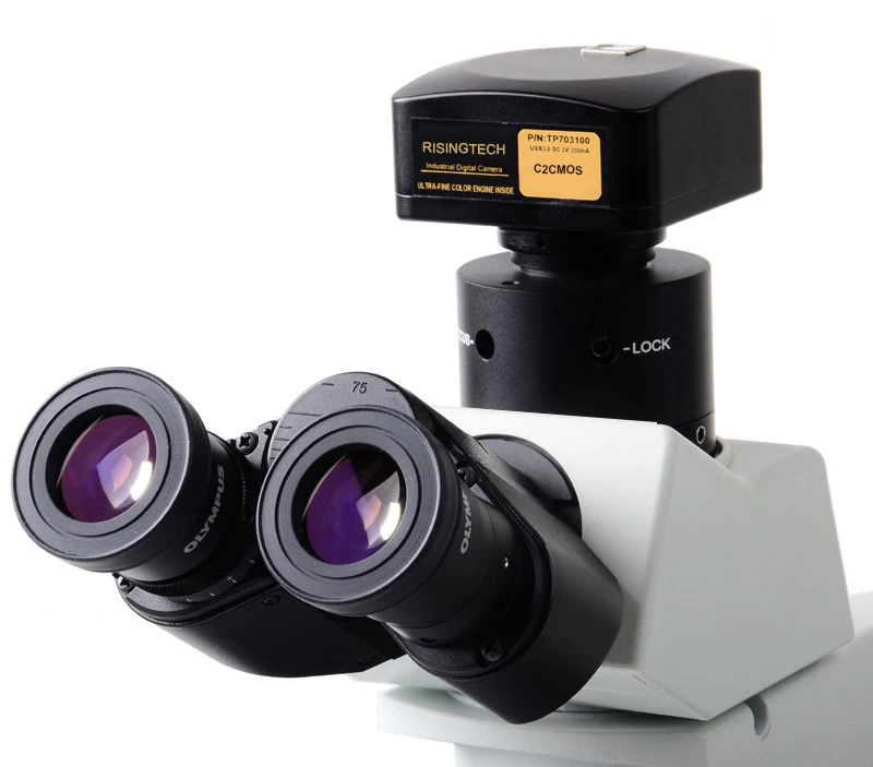 71_20120612000608_enupf