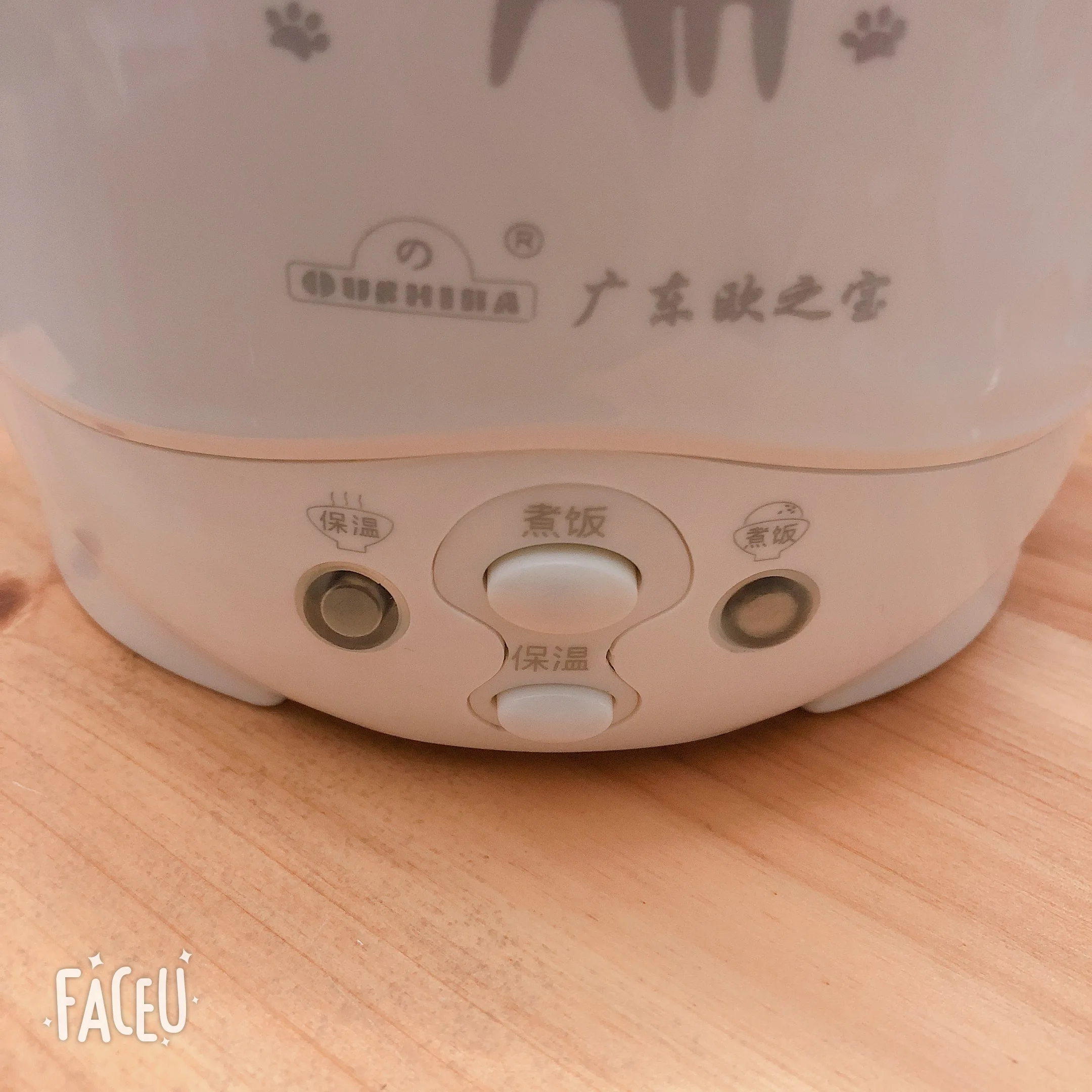 Rice Cooker Electric Cooker Electric Cooking Pot 1L 110V Rice Cooker Used in House Enough for Two Persons with English Instructions to 110V Countries