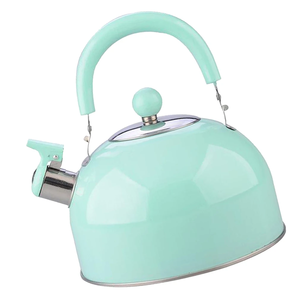 Green 19.8cm Whis 2.5L чайник из нержавеющей стали с крышкой, чайник для дома, вечерние, кухни, кемпинга, пикника, путешествия-серебристый/зеленый на выбор - Color: Green 19.8cm Whis