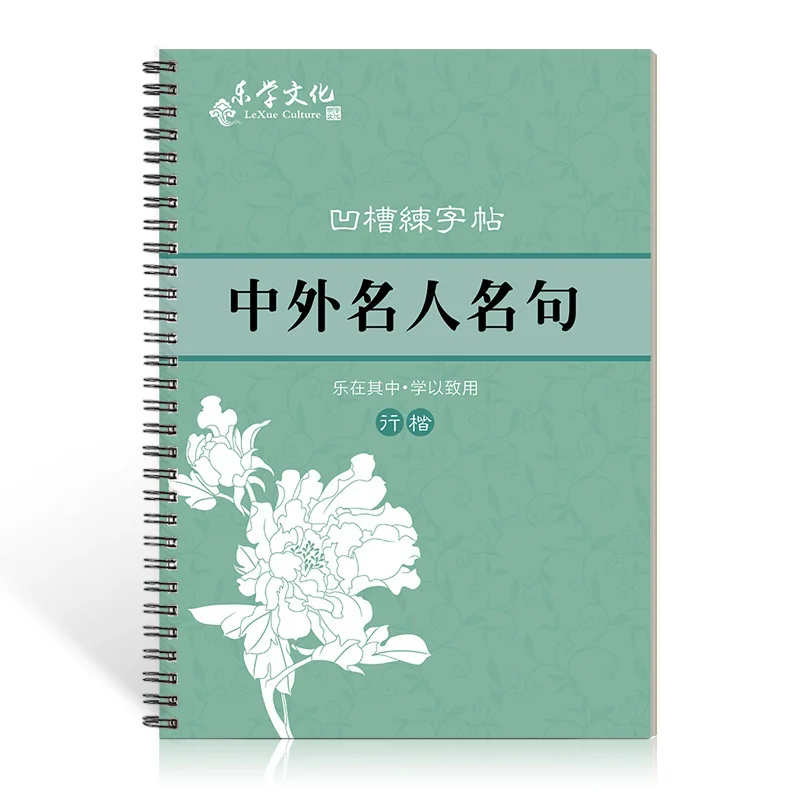 Chinese Characters Calligraphy Copybook HanZi MiaoHong 3D Reusable Groove Copybook Writing For Beginner Groove Practice Copybook