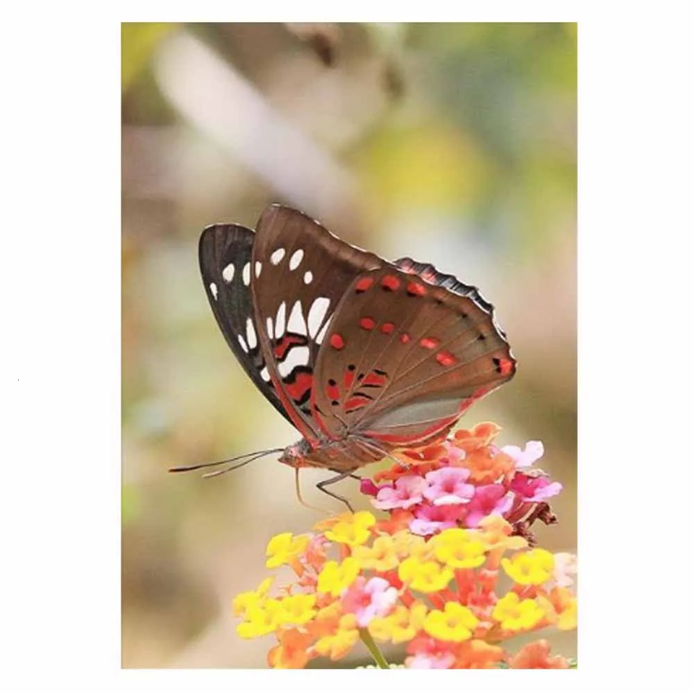 5D Embroidery Paintings Rhinestone Pasted diy Diamond painting Cross Stitch Pattern Butterfly Needlework Home Decoration Gift