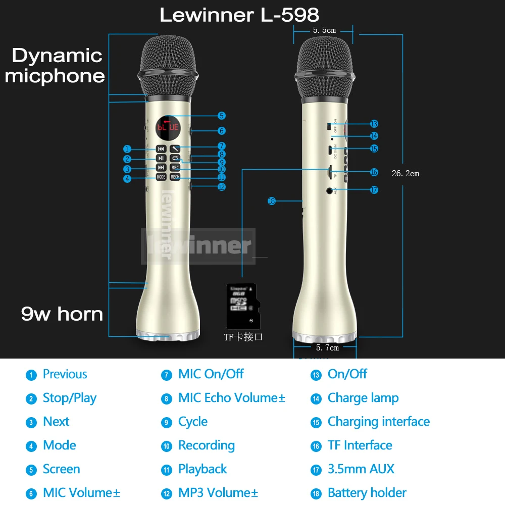 Lewinner L-598 speaker Microphone 9W Karaoke system Bluetooth professional sound Dynamic microphone TF Card karaoke microphone