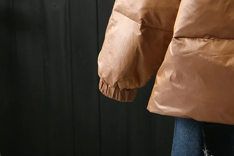 Winter New Style Loose Casual Webbing Design Fold-down Collar Short down Jacket WOMEN'S Dress er se ru