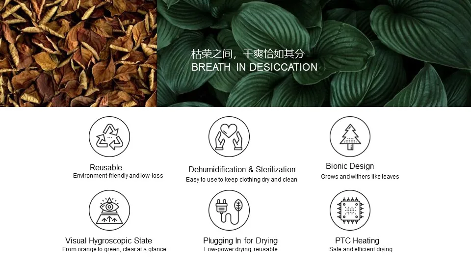 幻灯片3