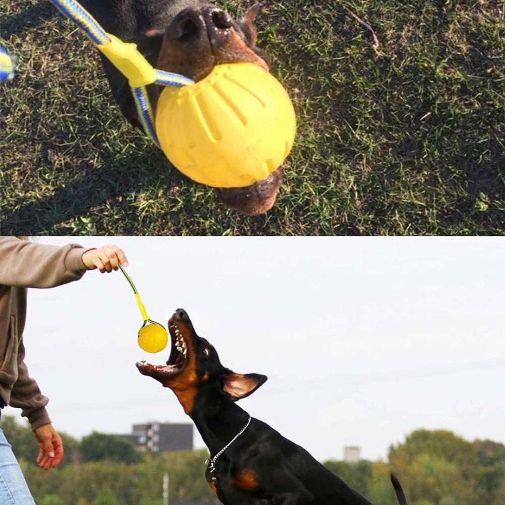 EVA Floating Pet Ball Puppy Bite Resistant Ball with Rope Pet Training