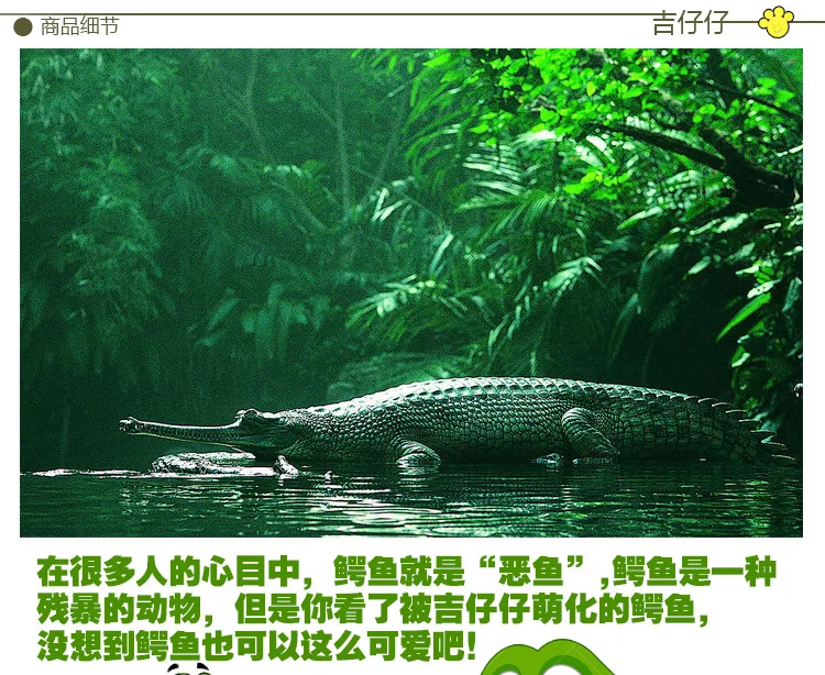 A062鳄鱼详情图_06