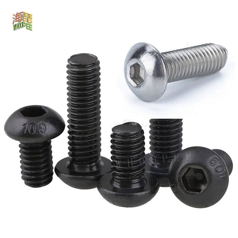 5/50pc Hexagon Socket Screw M2 M2.5 M3 M4 M5 M6 M8 304 A2-70 Stainless Steel Black grade 10.9 ISO7380