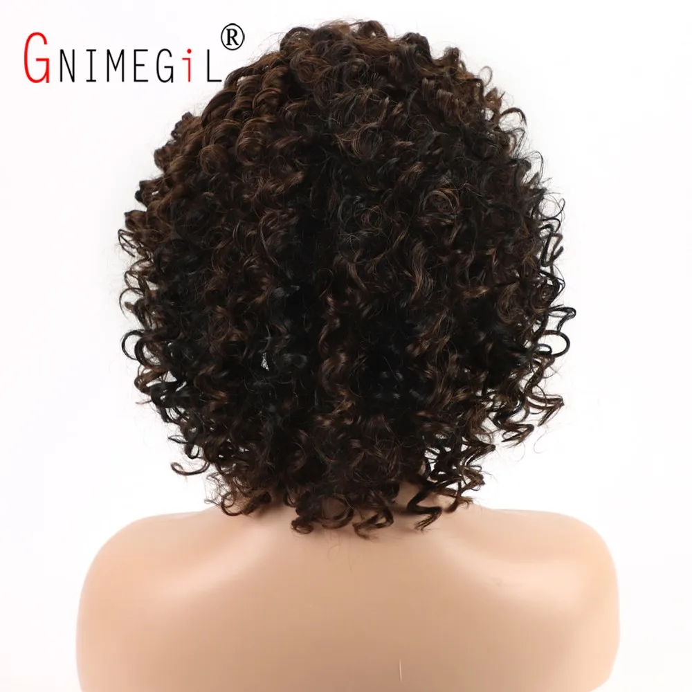 GNIMEGIL Female Afro Kinky Curly Wig Synthetic Fiber Colly Curls Wigs for Black Women Fashion Dark Brown Hair Replacement Wig
