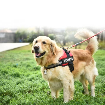 

Vest Type Dog Chest Harness Traction Rope Retractable Pet Neck Belt Leashpet Harnesses Coleira De Cachorro Traction Rope OO50XQ
