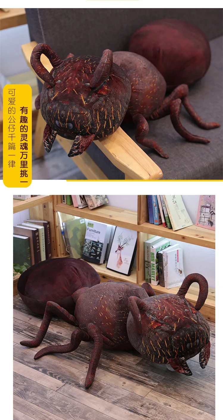 11671578378_1192339507_副本