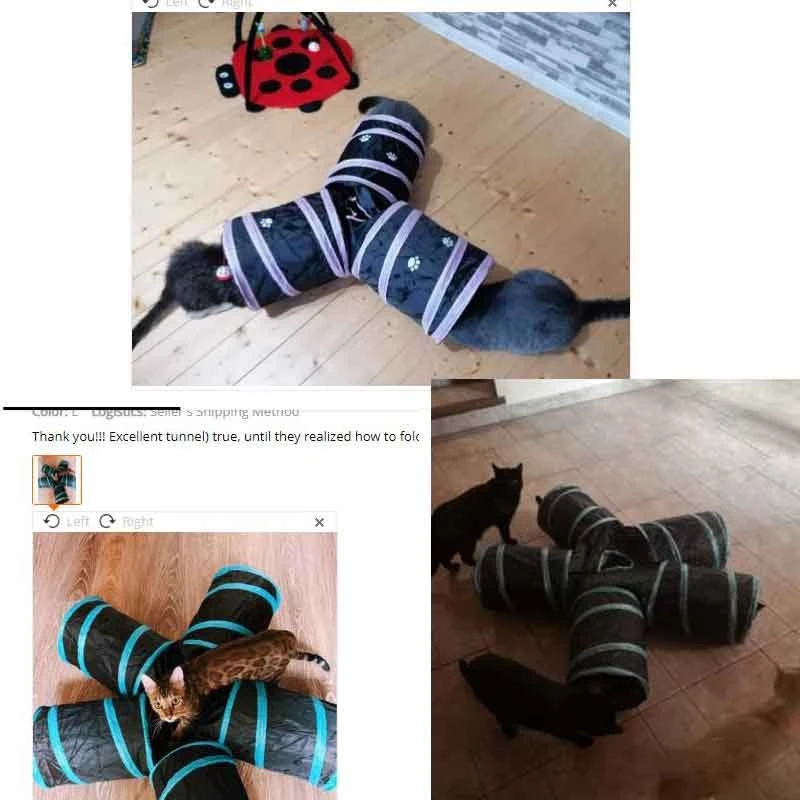 cat tunnel.jpg_.webp