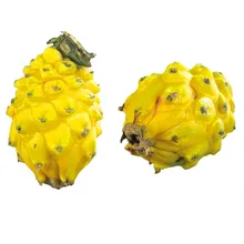 Свежий 100 шт./упак. желтый(питайя) плодовые деревья бонсай Многолетние растения без ГМО Hylocereus фруктов из нержавеющей стали, сад,# 4W0TNQ