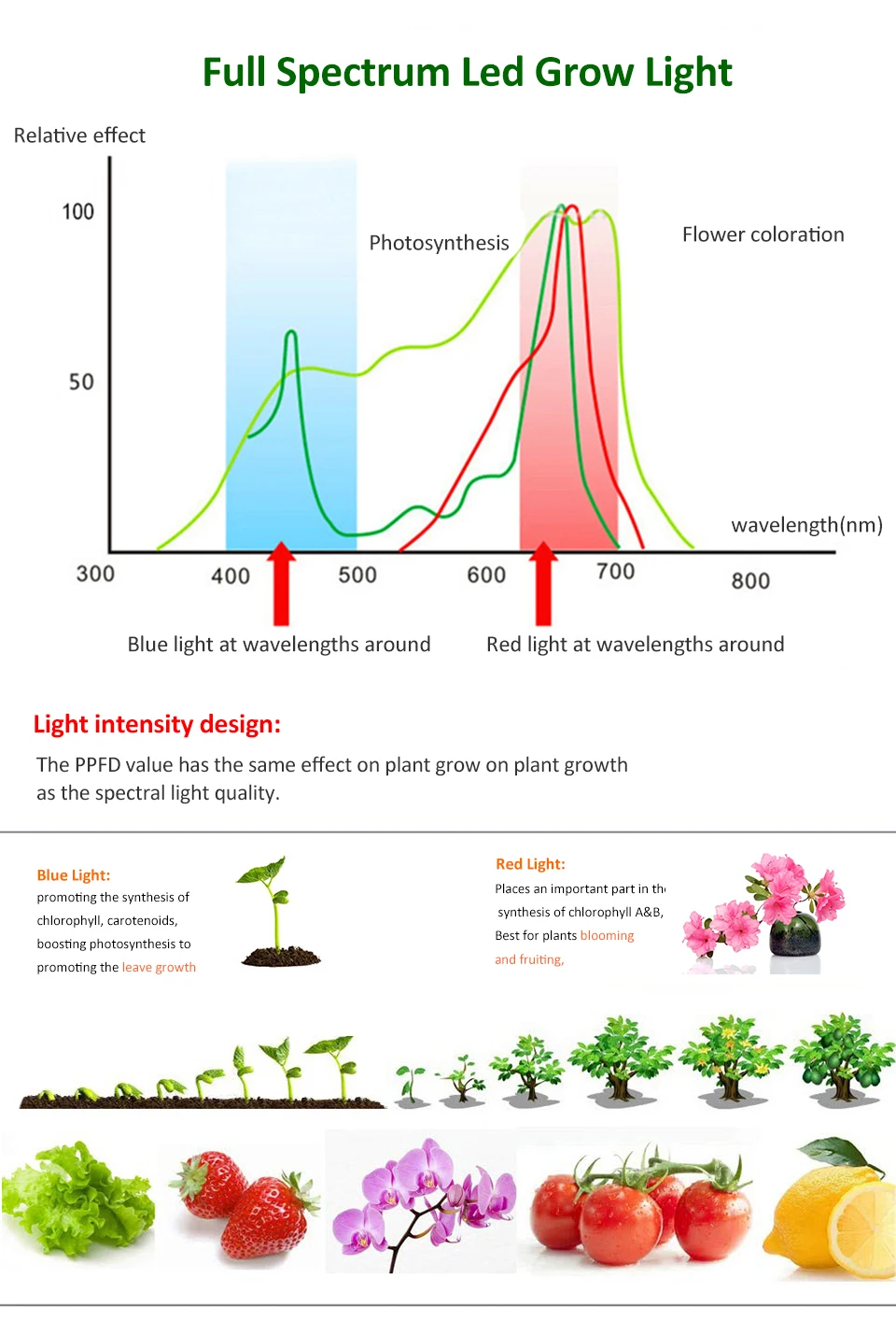 Phyto Lamp LED Grow Light 1000W Full Spectrum Fitolampy Lamp For Plants Indoor Plant Led Lights For Greenhouse Hydroponic Growth (2)