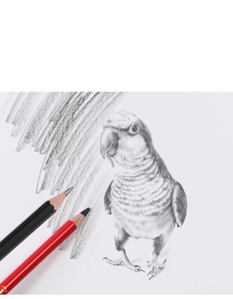 9554743873_1195844529