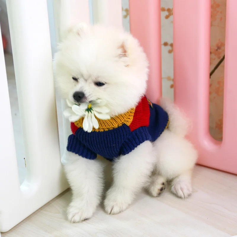 2019款8号徽章毛衣_8715