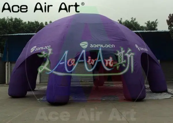 Popular-Giant-Purples-inflatable-Dome-for-event-Trade-show_副本