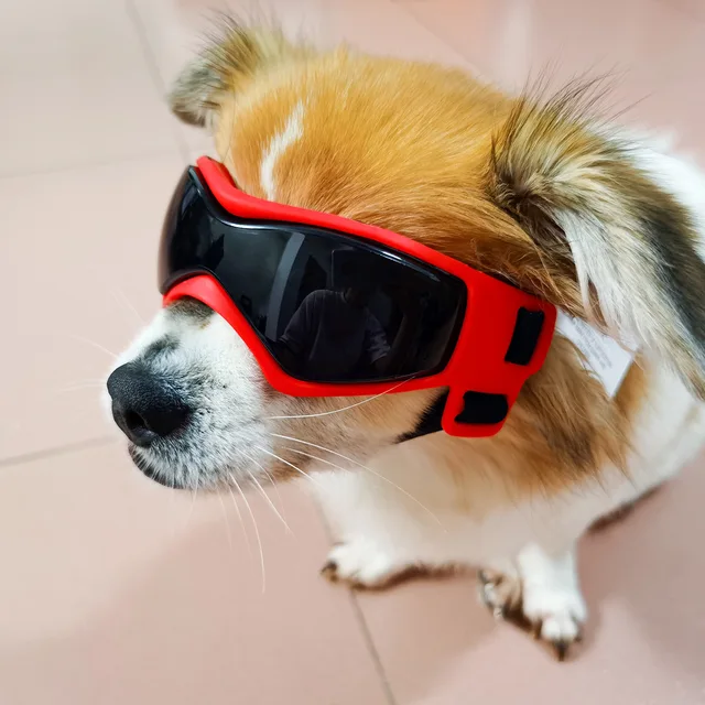 Dog Protection Goggles Waterproof Glasses Dog Fashion 2