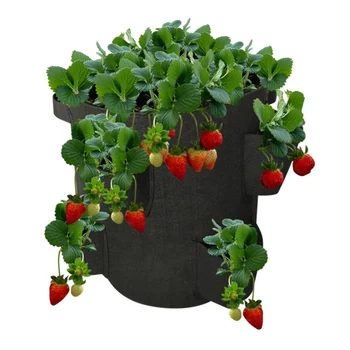 

11 Hole Potato Strawberry Planter Bags Growing Potatoes Outdoor Vertical Garden Hanging Open Vegetable Planting Grow Bag