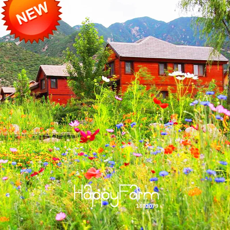 

New Arrival!200 PCS/Pack Chrysanthemum Mix Bonsai Perennial Flower Planting Wildflower Plants Combinations for Home Garden,#F39