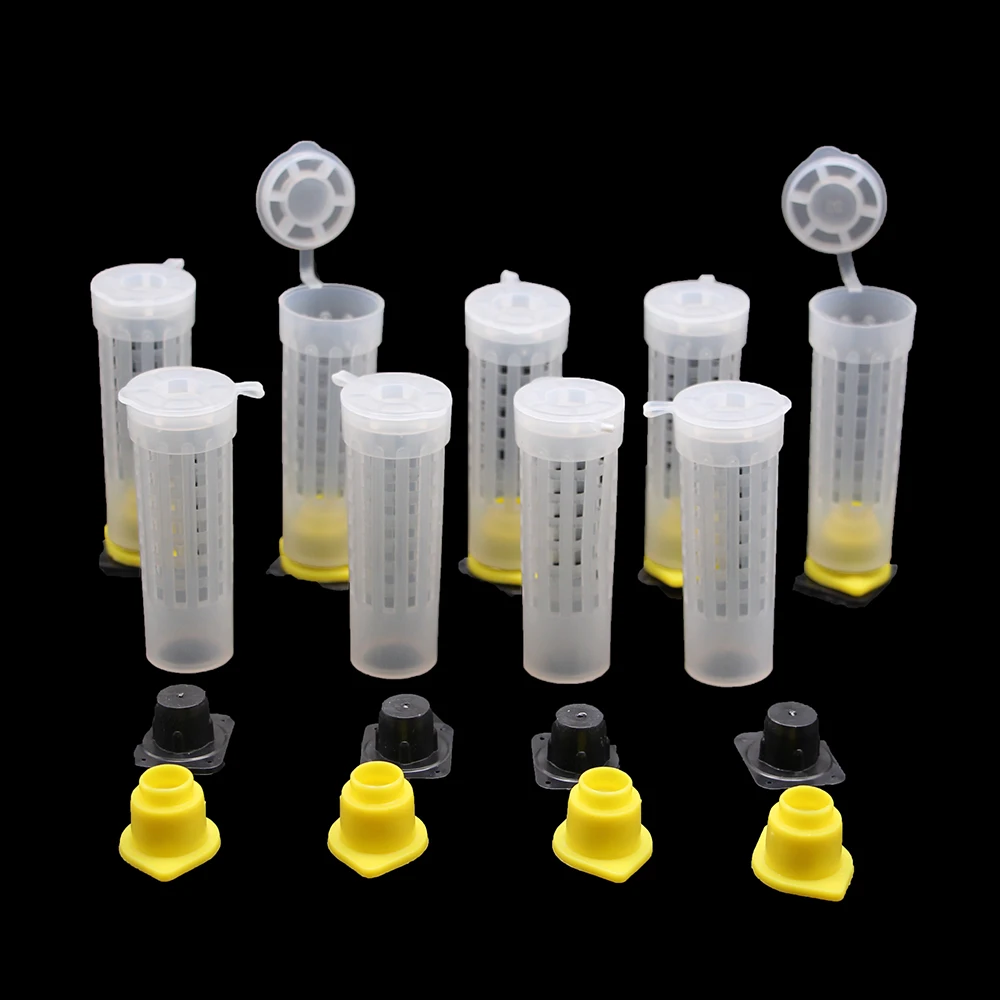 Professional Beekeeping Queen Cage beekeeping tools beekeeping accessories Rearing Quality Protective Cover Catcher Plastic Bees Box Bees Tool Supplies 60PCS