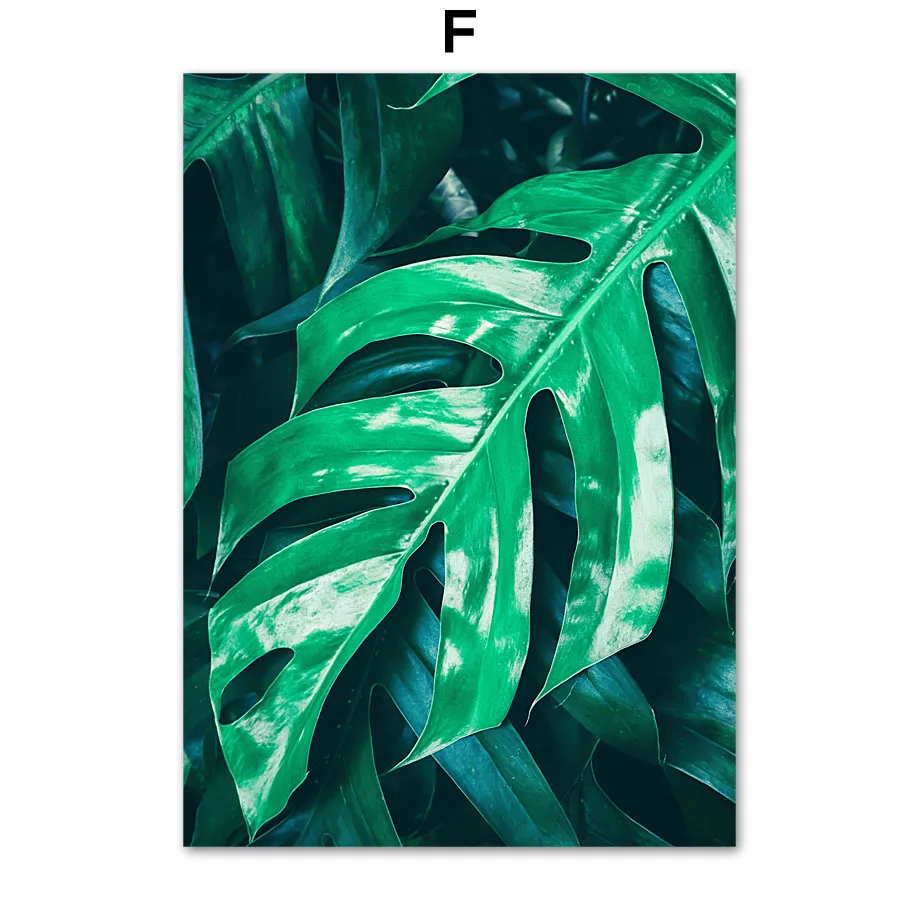 Green Monstera Forest Sea Wave Ship Road Wall Art Canvas Painting Nordic Posters And Prints Wall Pictures For Living Room Decor - Цвет: F