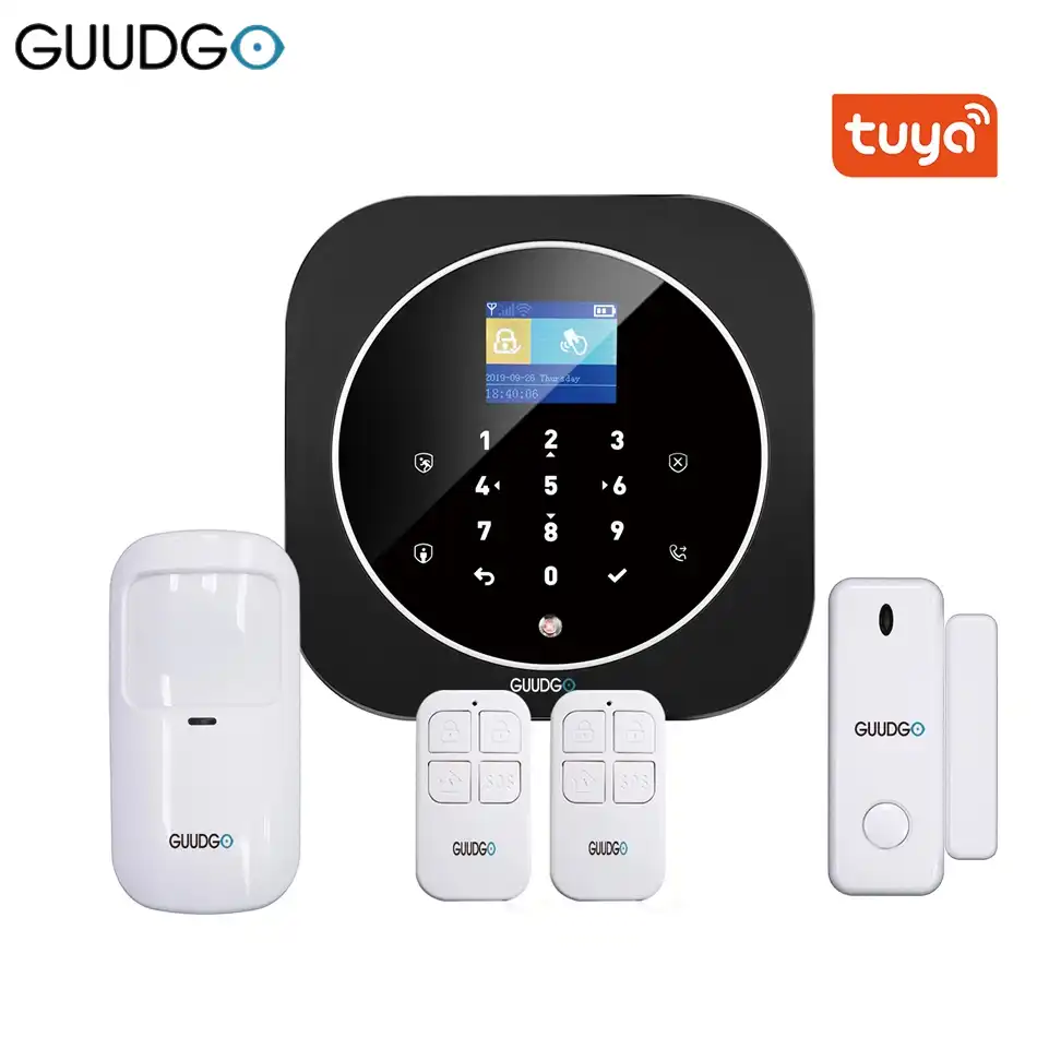 alarm system google home