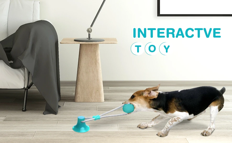 e554723c-c93b-4498-a14f-a0c307a0b8e4.__CR0,0,970,600_PT0_SX970_V1___