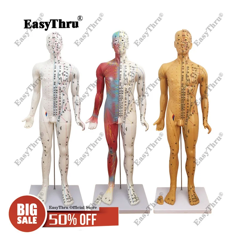 

85CM Chinese medicine Human Acupuncture point model Moxibustion Meridians Anatomical Model
