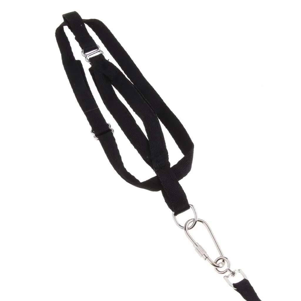 Adjustable Bird Harness 8 Meters For Parrot Budgerigar Macaws Finches Canary