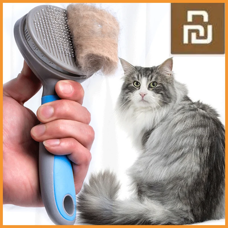 cat hair grooming tools