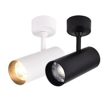 

Surface Mounted LED Ceiling Spotlights Foldable 360° Rotatable COB LED Downlights 10W20W30W LED Wall Lamps Background Lighting